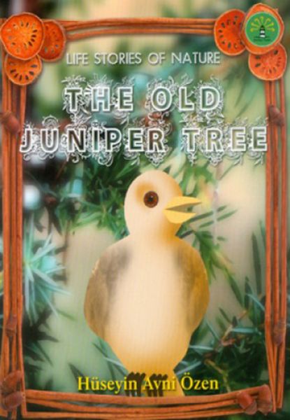 The Old Juniper Tree-0 